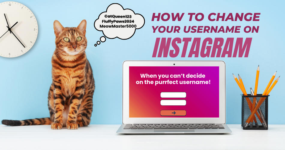 How to Change Your Username On Instagram